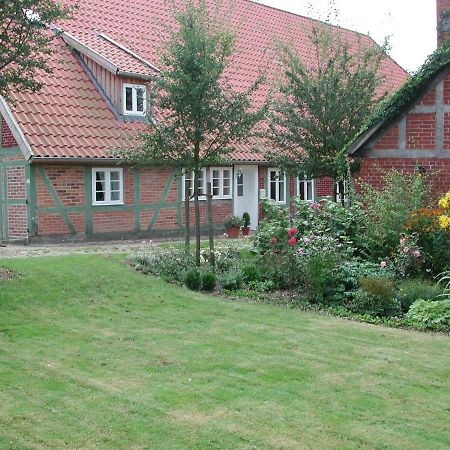 Ferienwohnung Am Elbdeich Bleckede Bagian luar foto