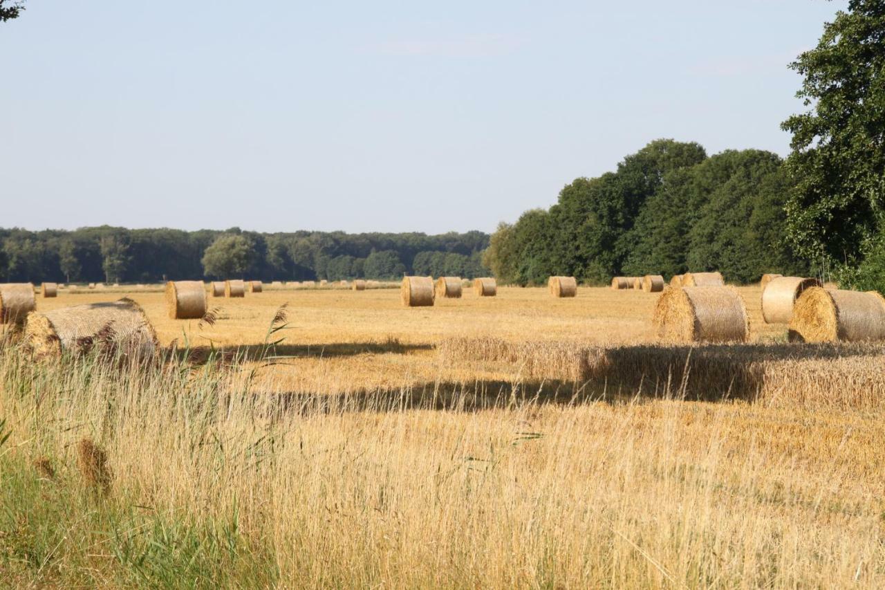 Ferienwohnung Am Elbdeich Bleckede Bagian luar foto