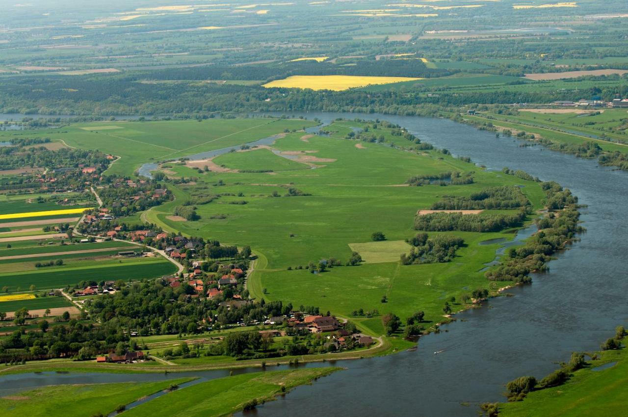 Ferienwohnung Am Elbdeich Bleckede Bagian luar foto